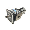 GHD1-51/T3-10R(L)-R11C11-SK04K03/K01K01-N009P.V1H4 OLD — детальное фото шестеренного насоса