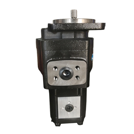 GPHD1-36/T3-8R(L)-S05D04-SE04E02/K01K01-N038P.V1H4 — детальное фото шестеренного насоса