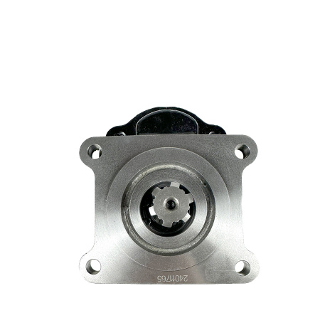 GHD1-51R(L)-B01D20-SS09S08-ND — детальное фото шестеренного насоса