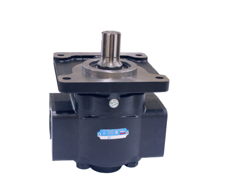 GHD3-250R(L)-R0D0-SS02S01-N02D — детальное фото шестеренного насоса
