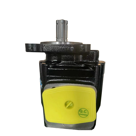 GHD1-63R(L)-B01D20-SS09S08-VD — детальное фото шестеренного насоса