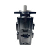 GHD1-G/CR(L)-S03D15-SA06U05/NU04-NJD — детальное фото шестеренного насоса